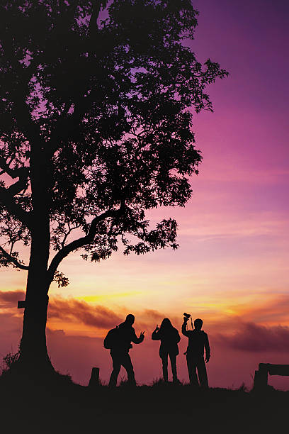 istock Beautiful silhouette tourist having fun at sunset time 543556244