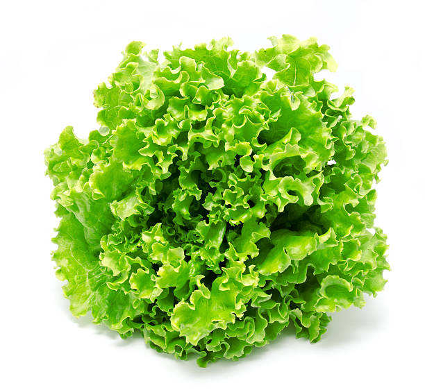 istock Fresh lettuce leaves isolated on a white 543558344