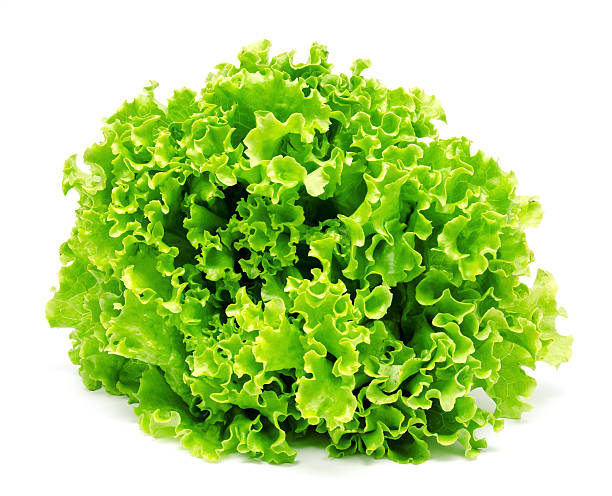 istock Fresh lettuce leaves isolated on a white 543558358
