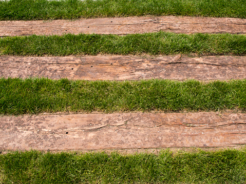 Railway sleepers and grass that grows between them