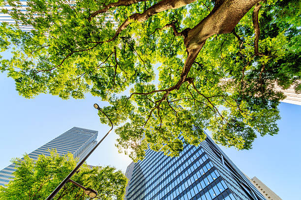 istock Shinjuku high-rise building 543559014