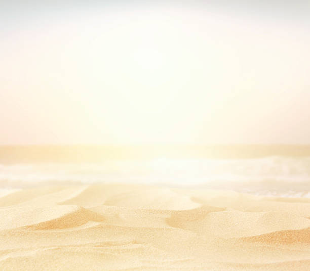 istock Abstract blurry high key image of empty sand beach 543559554