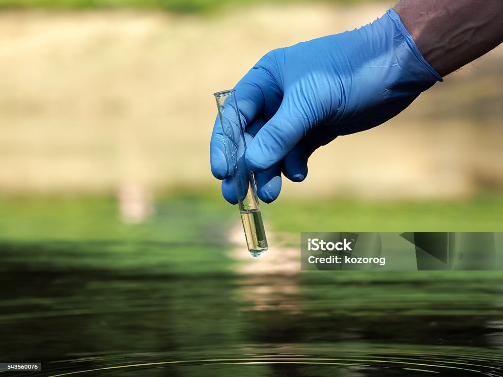 Hand in glove holding a test tube of clear water Water sample. Hand in glove holding a test tube of clear water. Concept - water purity analysis, environment, ecology. Water testing for infections, permission to swim Pollution Stock Photo