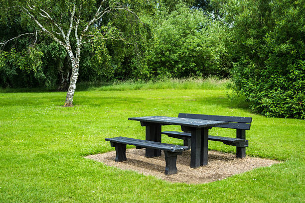 istock Picnic table beside a forest in summer 543560536