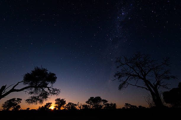 Moon rise on the Milky way and tree silouhettes in the Kalahari