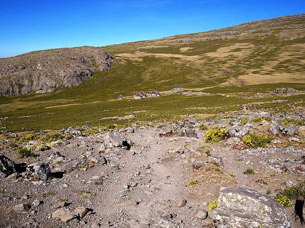 etiopska highlands w pobliżu lalibela - ethiopian highlands zdjęcia i obrazy z banku zdjęć