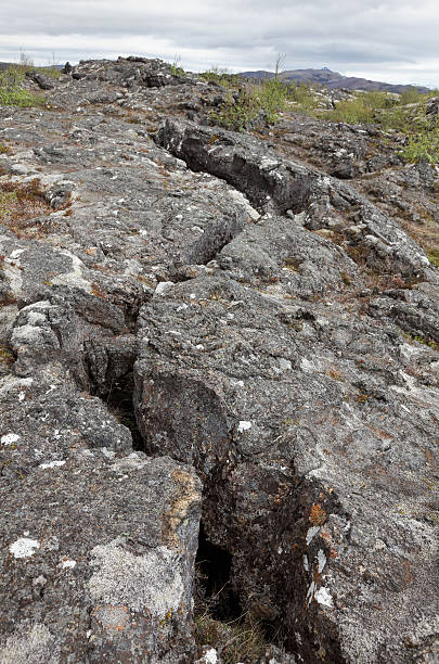 istock Lava field covered by moss and plants 543562542