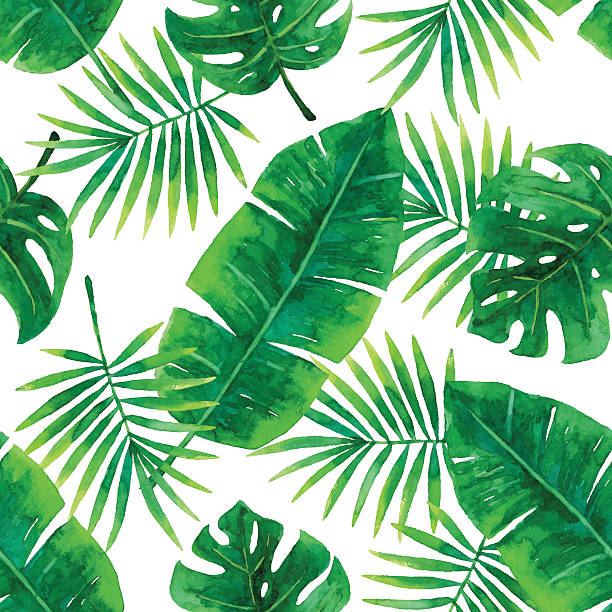 aquarell nahtlose tropischen muster - green watercolor painting leaf watercolour paints stock-grafiken, -clipart, -cartoons und -symbole