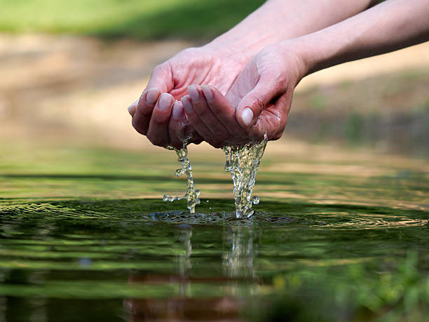istock Women's hands are holding in your hands the water 543562594