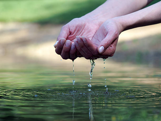 istock Women's hands are holding in your hands the water 543563848