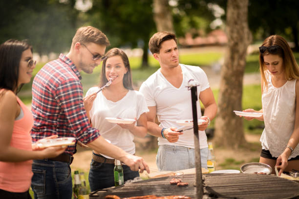 istock Group of friends on a barbecue picnic 543565654