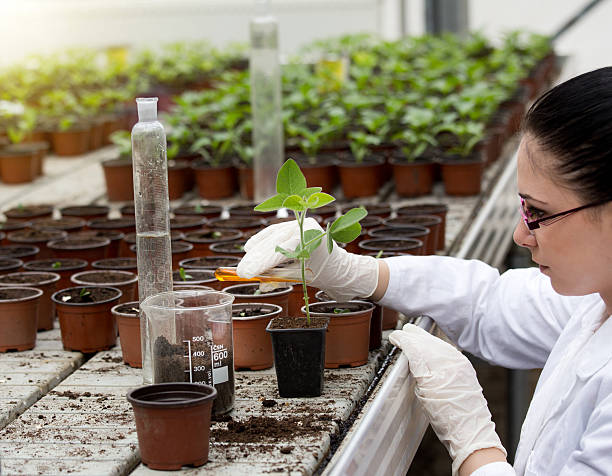 istock Biologist pouring liquid into flower pot with sprout 543565686