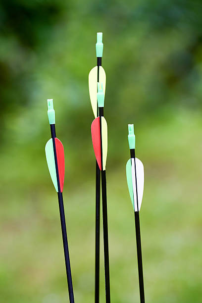 istock Little archer with bow and arrows 543565830