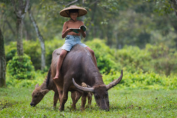 Young Herder stock photo