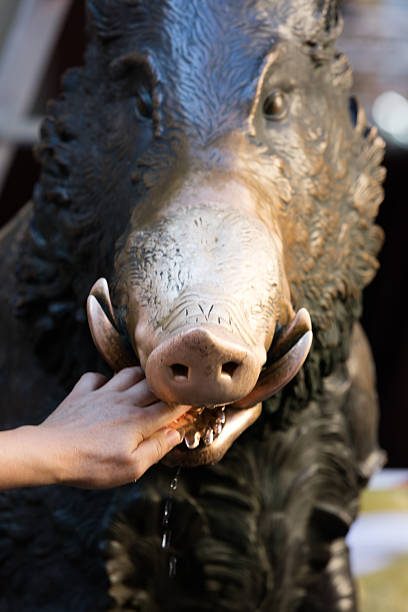 istock Source of the piglet, Florence 543568098