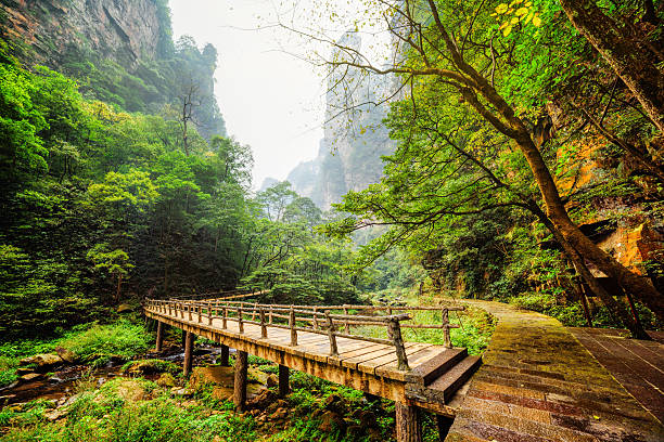 istock View of bridge over river at bottom of deep gorge 543568934