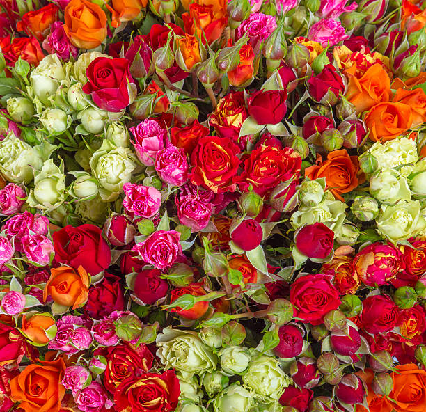 istock Bunch of flowers 543570006