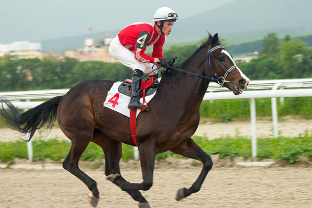 istock Horse racing in Pyatigorsk. 543570334
