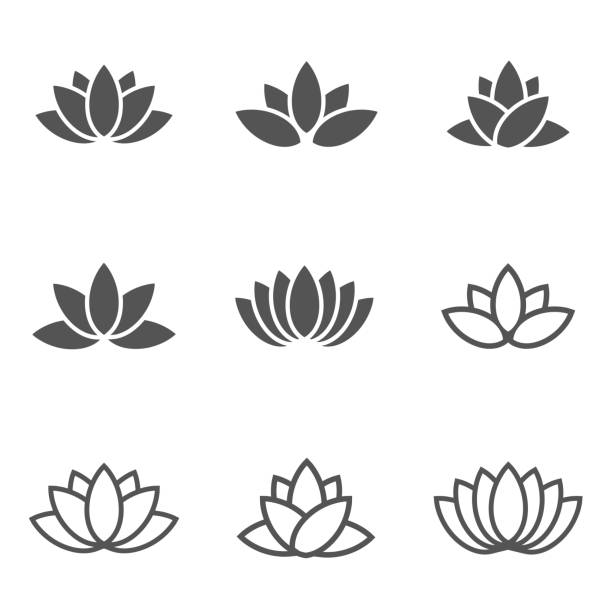 векторные иконки набор черный лотос на белый фон. - lotus stock illustrations