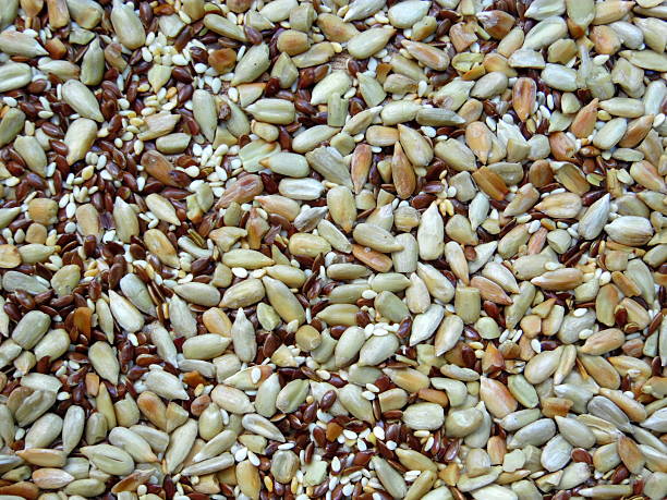 istock Mix of seeds 543571630