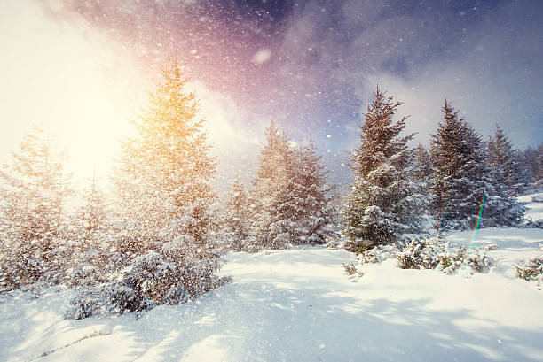 istock Mysterious Winter landscape with fog, 543572832