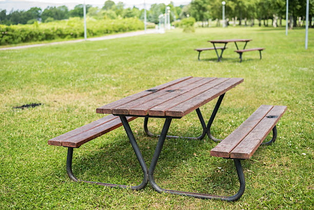 istock Wooden picnic table and benches in park 543573784
