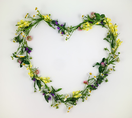 Heart symbol made of meadow flowers and leaves on white background. Flat lay, top view
