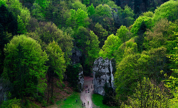 white rocks near Cracow - Poland