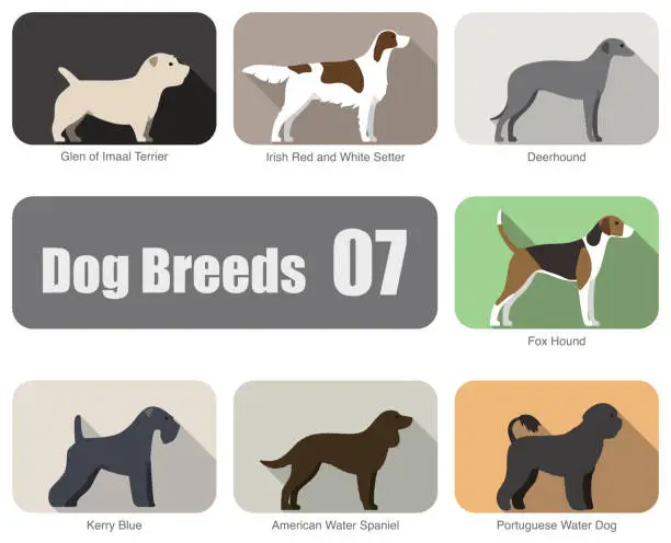 Vector illustration of set of dog breeds, vector illustration