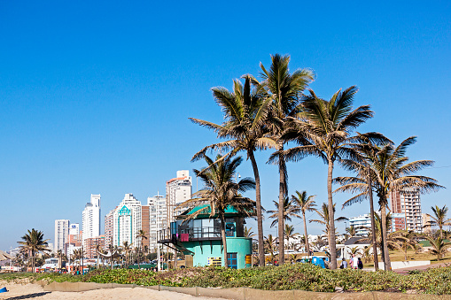 DURBAN, South Africa - June 26, 2016: Many unknown people early morning walk along beach front promenade behind  sand dunes and palm trees  against city skyline in Durban, South Africa