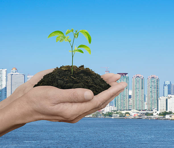 istock Hands holding small plant with soil over city, Ecology concept 543578368