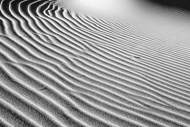 istock beautiful view of the coastal dunes 543581868