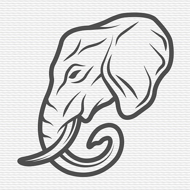 ilustraciones, imágenes clip art, dibujos animados e iconos de stock de elefante símbolo, logo, emblema. - tusk