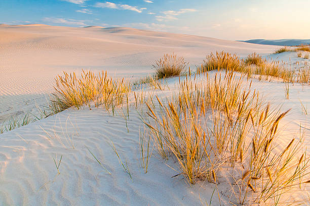 istock beautiful view of the coastal dunes 543584700