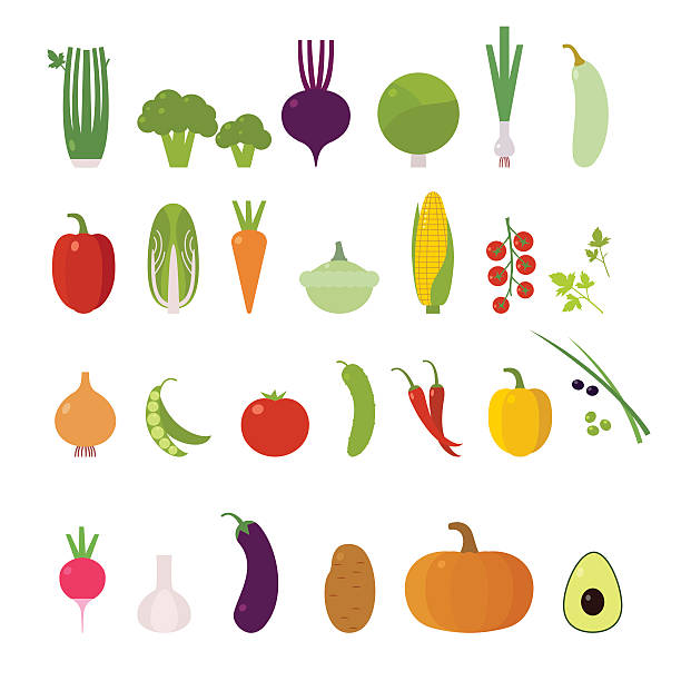 векторный набор. овощи. - celery vegetable illustration and painting vector stock illustrations