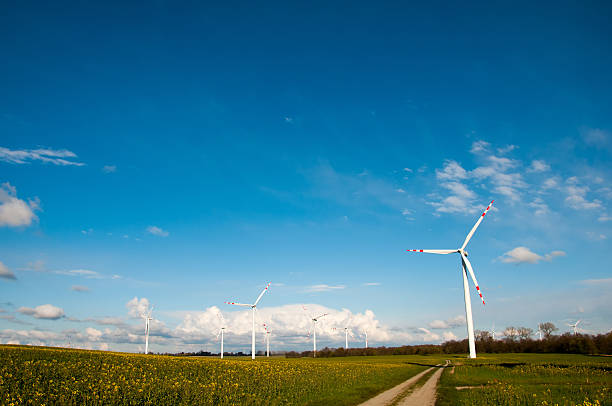 istock Wind turbines on the field 543590410