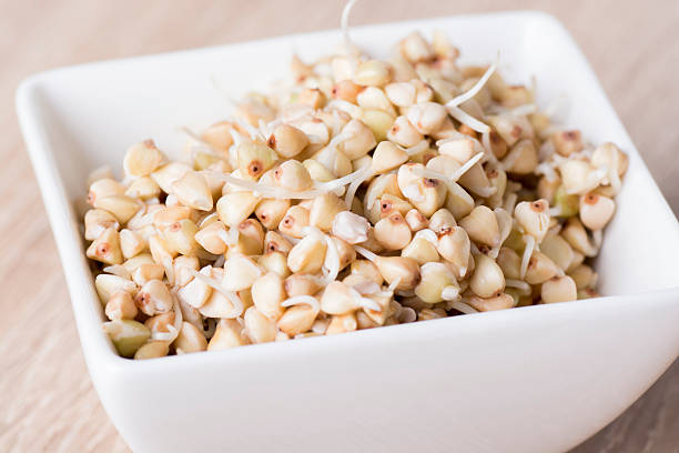 Sprouts of buckwheat groats in bowl stock photo