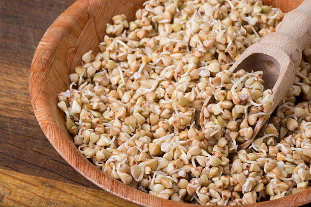 Sprouts of buckwheat groats in bowl, rustic style stock photo