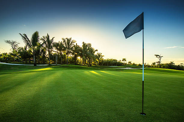 campo da golf nella campagna  - golf landscape golf course tree foto e immagini stock