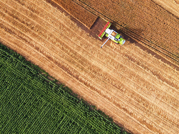 вид с воздуха на комбайн на уборочном поле - agriculture harvesting wheat crop стоковые фото и изображения