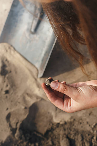 istock During the excavations the archeologist found something 543591782