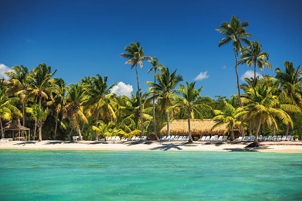 istock Tropical island in Carribean sea, beautiful panoramic view 543592086