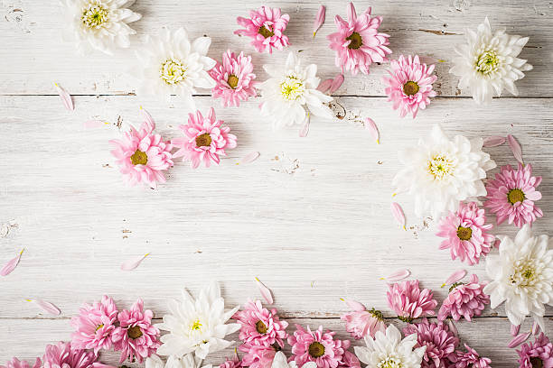 istock Pink and white flowers on the white wooden table 543593108