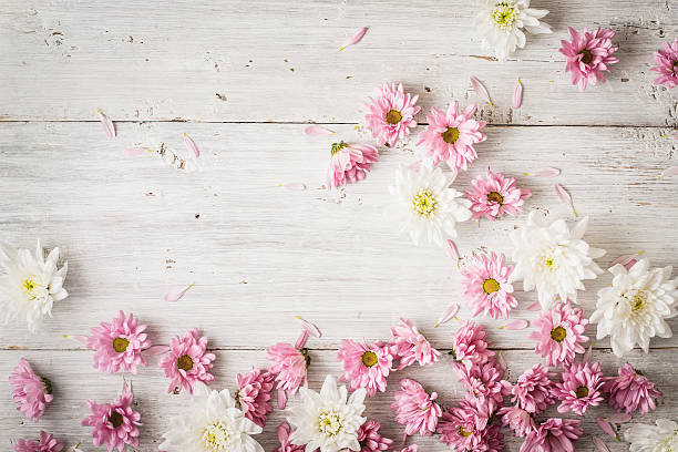 istock Pink and white flowers on white wooden table top view 543593288