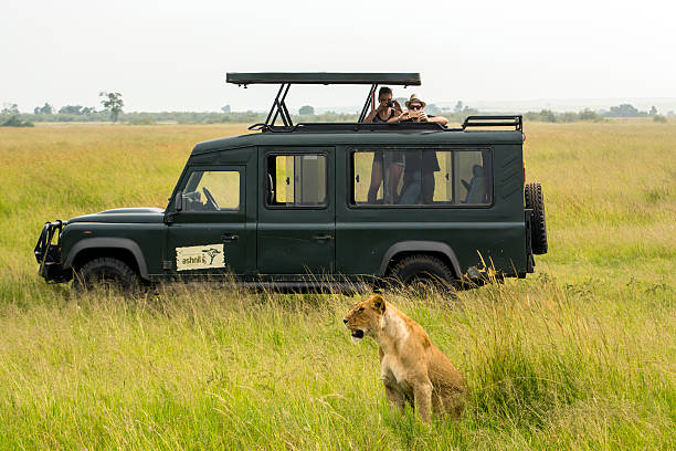 A four year old tourist boy in blue sweater, red shorts and a safari hat is holding binoculars as he is watching African animals on safari in Southern Africa. Two giraffes and an oryx are seen in the distance as they are walking through a beautiful savannah landscape in Namibia.
