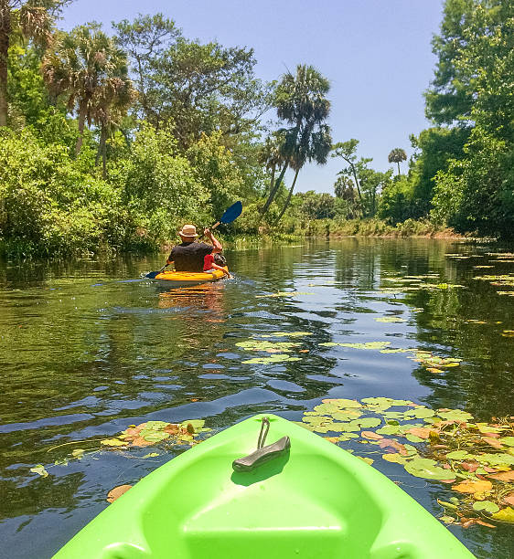 Kayaking Man kayaks down a peaceful river, child in tow everglades national park stock pictures, royalty-free photos & images