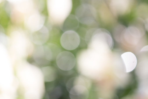 vivid bokeh in soft color style for background. romant