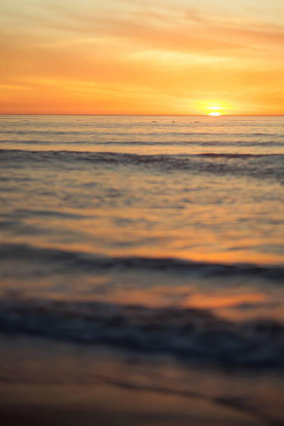 Abstract toned image of sunset over ocean with birds stock photo