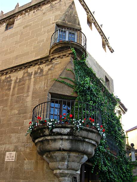 istock Cascading ivy down a European balcony 543652784