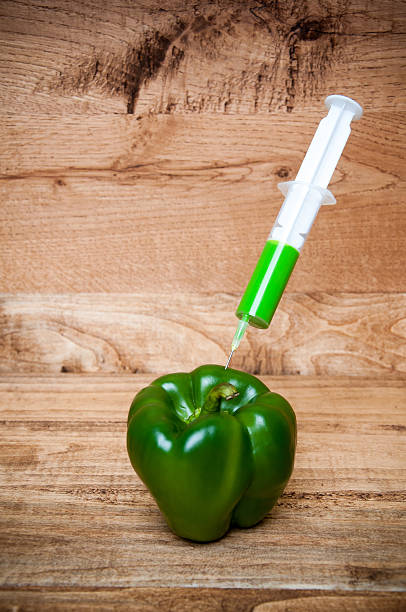 GMO green pepper and syringe on wooden background GMO green pepper and syringe on wooden background genetic modification change improvement science stock pictures, royalty-free photos & images